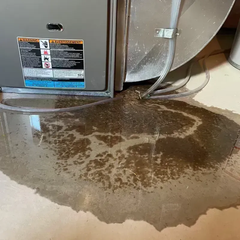 Appliance Leak Cleanup in New London, MO